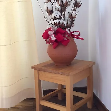 Apartma Lenka Lejlighed *