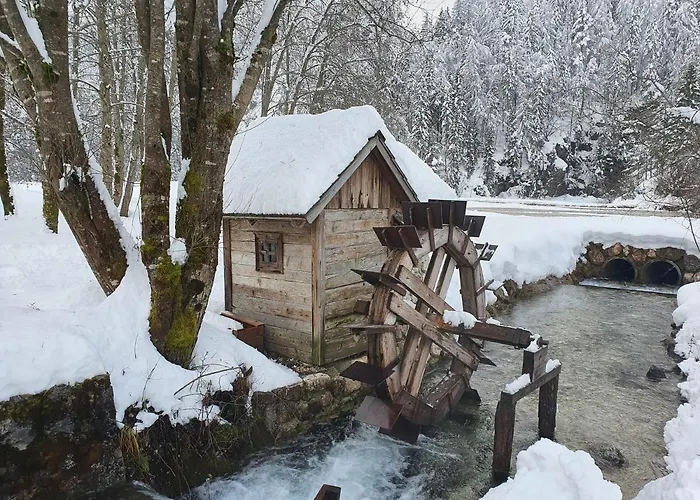 Apartma Apartma Lenka